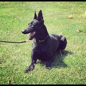 Meet your Posher, Colette